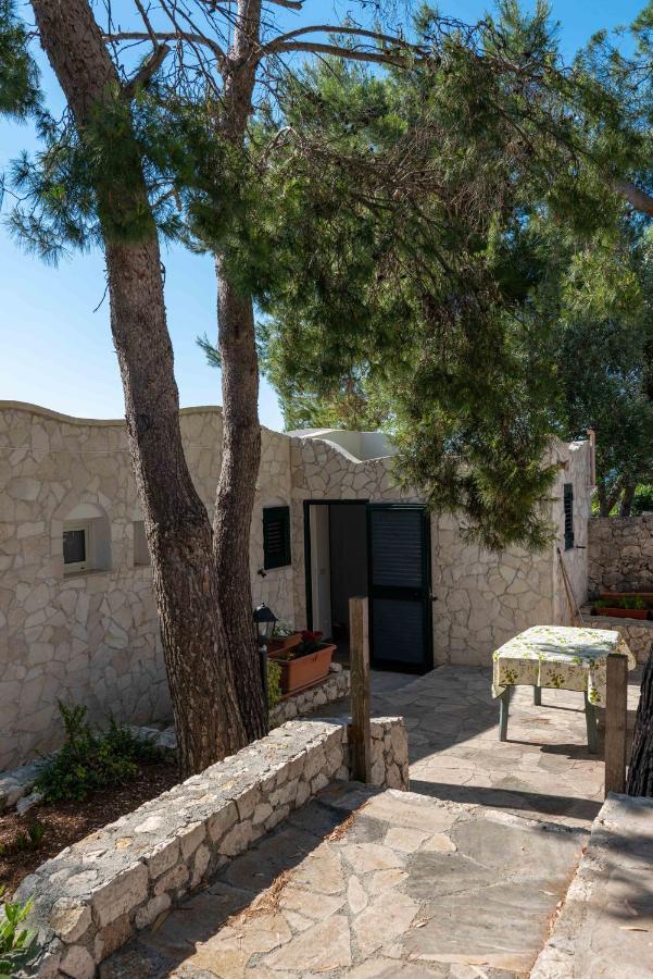Porticelli Apartment Marittima Exterior photo