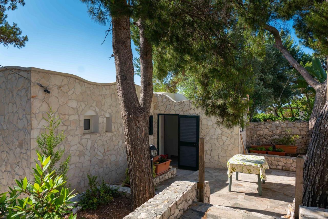 Porticelli Apartment Marittima Exterior photo
